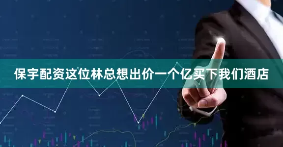 保宇配资这位林总想出价一个亿买下我们酒店