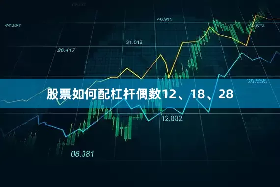 股票如何配杠杆偶数12、18、28