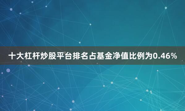十大杠杆炒股平台排名占基金净值比例为0.46%