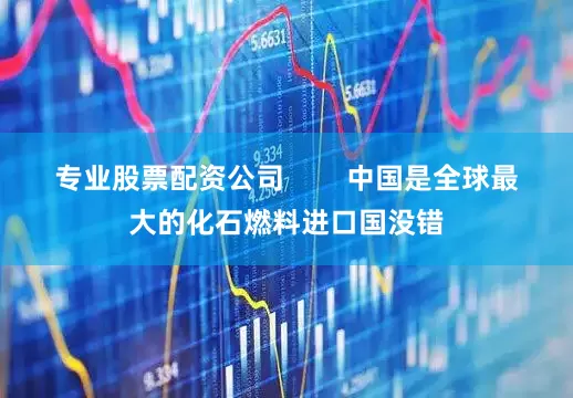专业股票配资公司        中国是全球最大的化石燃料进口国没错