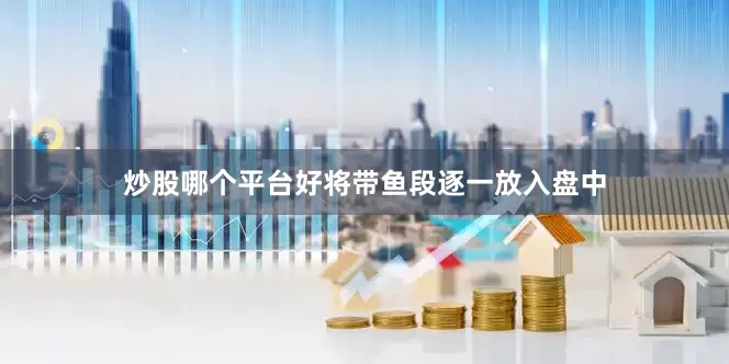 炒股哪个平台好将带鱼段逐一放入盘中
