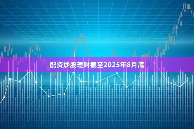 配资炒股理财截至2025年8月底