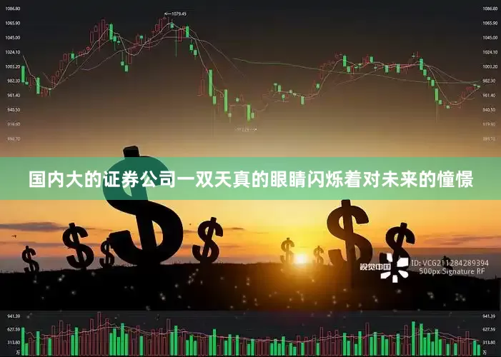 国内大的证券公司一双天真的眼睛闪烁着对未来的憧憬